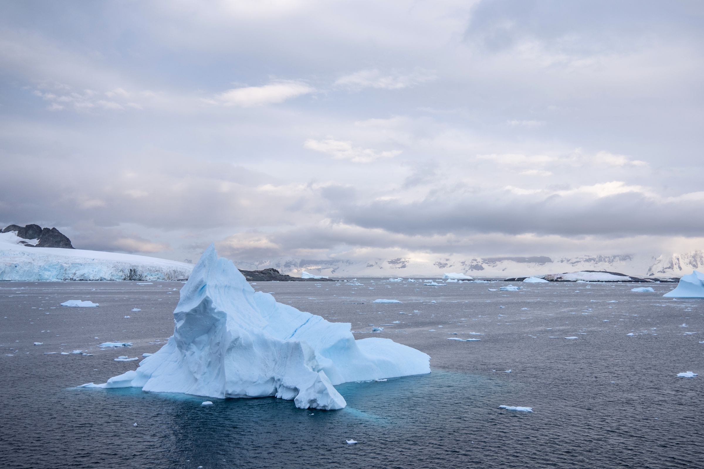 121 cuverville island.webp